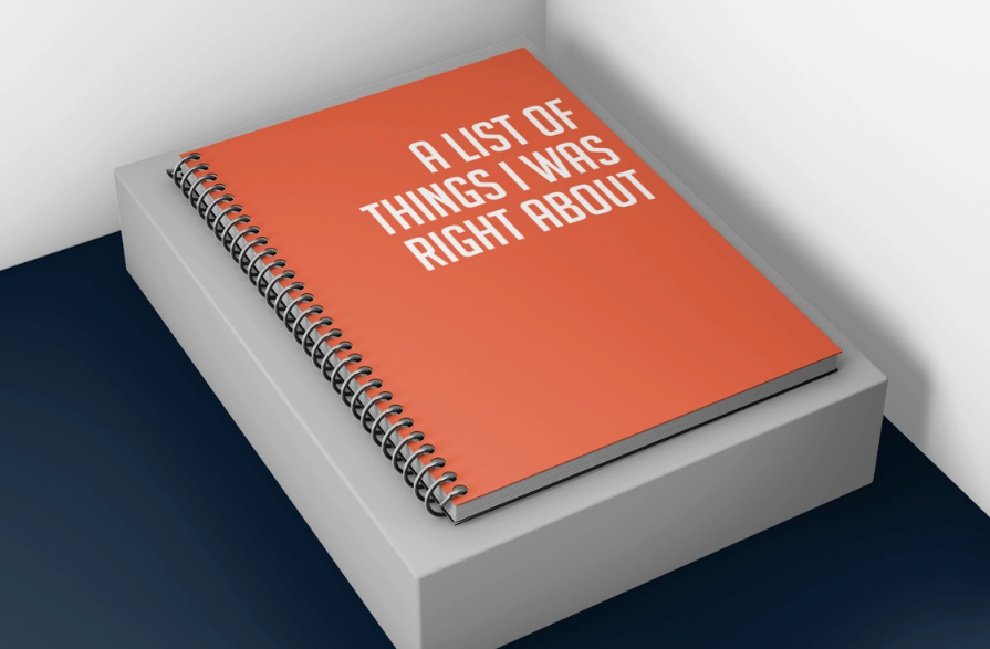 Funny Notebooks (12 Different Phrases - See Photos)